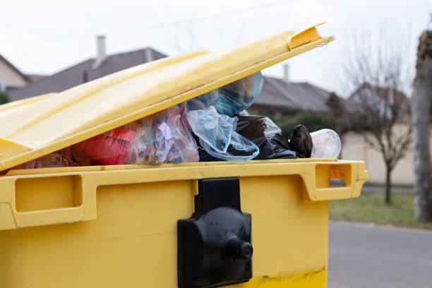 Best Dumpster Rental Services  in Franklinton, NC